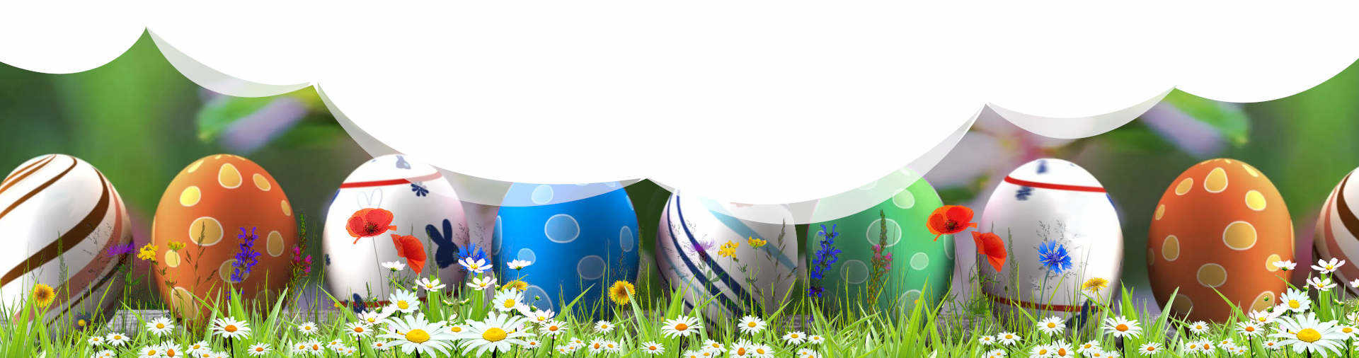 Un nouveau poulailler ce printemps pour Pâques