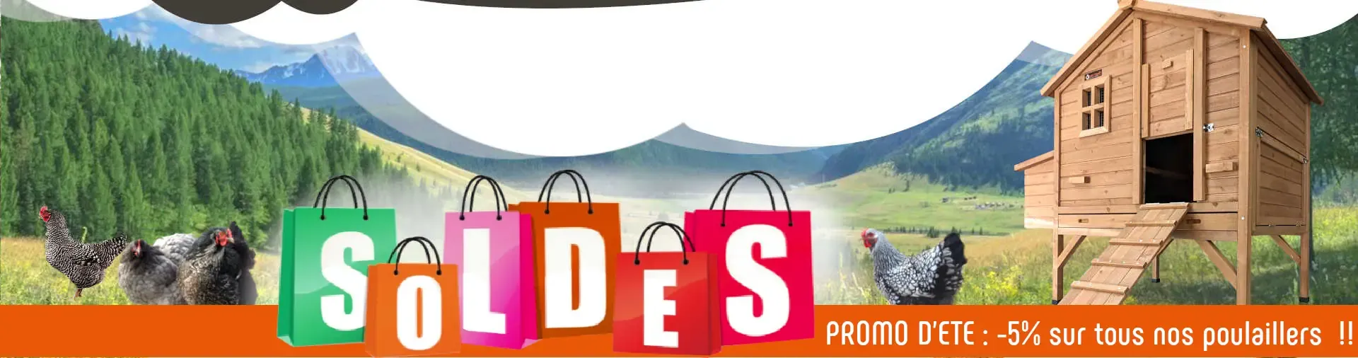 Promos d'été sur les poulaillers bois de Poulailler Design  !